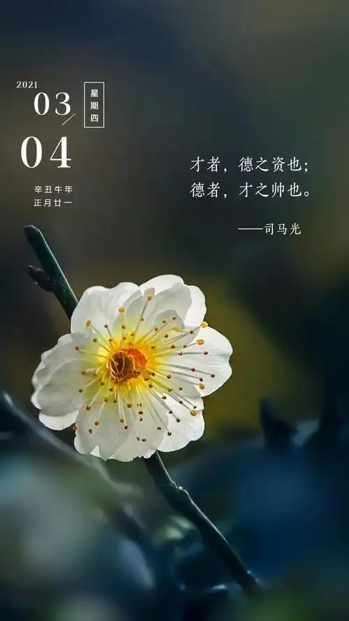 正能量的句子带图片正能量的句子人生感悟图片