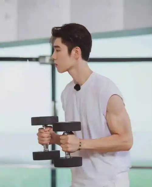 背赵小棠王子异周九良面露难色她是有多胖