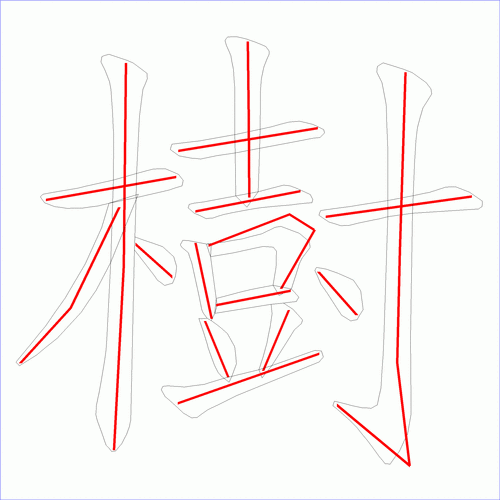 国字树的笔顺16画
