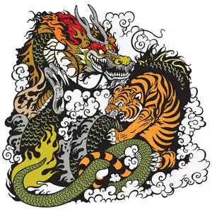 龙和虎龙和虎的战斗照片