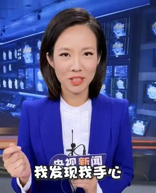 央视美女主持人宝晓峰的传奇人生:从手语老师到新闻联播_挑战_故事