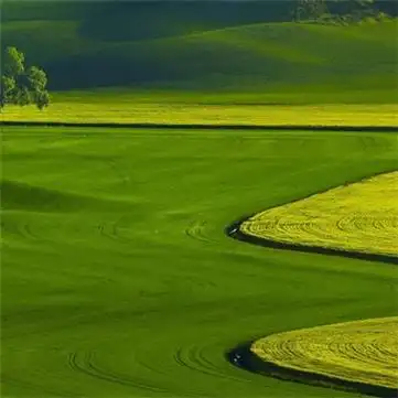 适合春天的头像图片高清适合春天微信头像合集