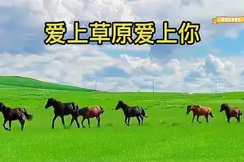 03:25美丽的大草原,蓝天白云【爱上草原爱上你】来源:网易新闻发布