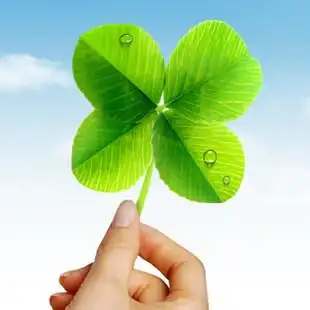 香草种子 幸运草 四叶草种子 套餐包邮含盆营养土肥料