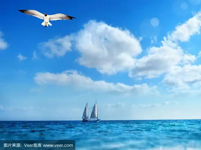 海鸥和帆船的海景图像