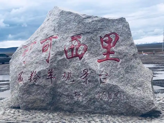 进入可可西里.几百公里草地,荒无人烟.偶尔能见到藏羚羊在吃草.