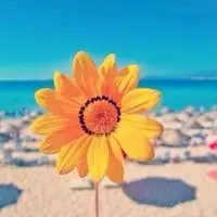 给人一种阳光的头像 治愈系阳光的头像_微信头像图片大全