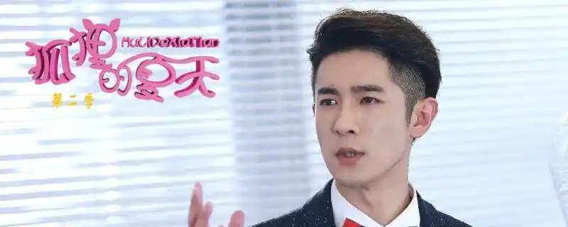 狐狸的夏天中大卫是什么身份