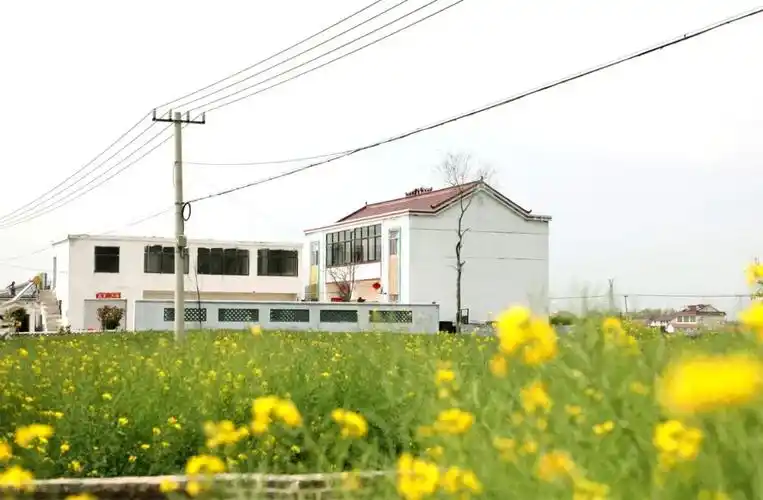 红窑镇金城村生态宜居美如画