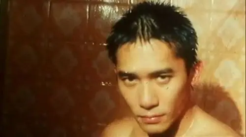 《春光乍泄》:梁朝伟