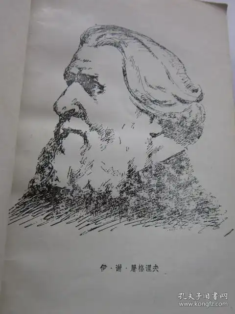 屠格涅夫选集 罗亭