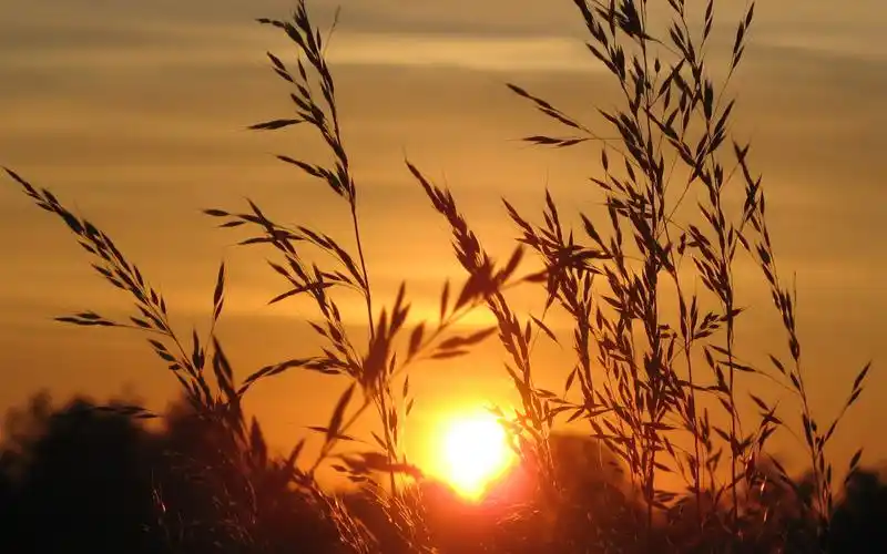 高清唯美夕阳风景图片桌面壁纸