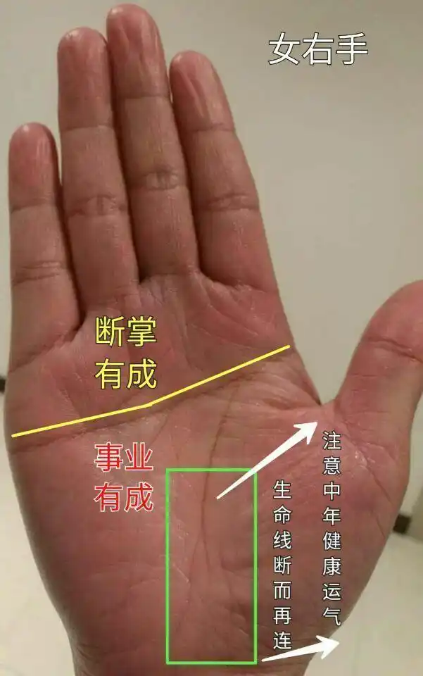"手如干姜,家道必昌"三种富贵命的手相特征,是穷鬼也能发达!
