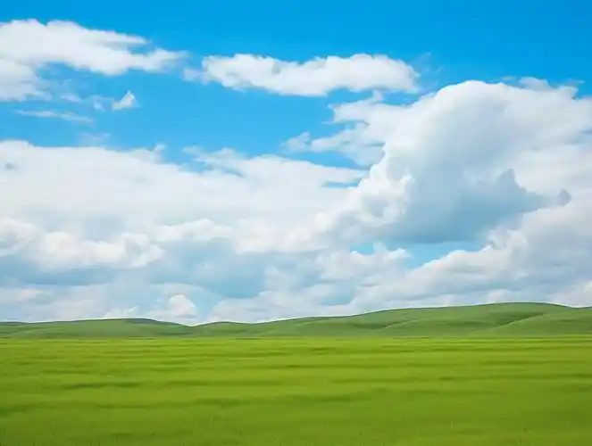 蓝天白云一望无际的草地草原风景图