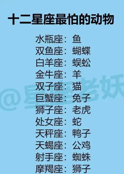 十二星座女为什么样的男生放弃原则十二星座最怕的动物