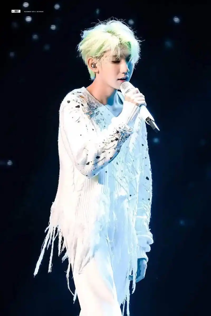 你填满了我的整个青春 #绿海 恭喜王源巡回演唱会第一站圆满 - 抖音