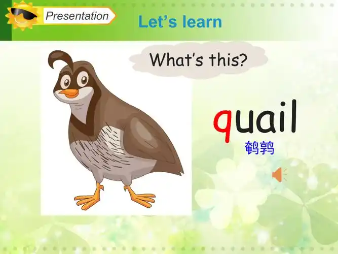 人教精通版三年级下册unit 5 its a parrot._lesson 28_ppt课件_(含