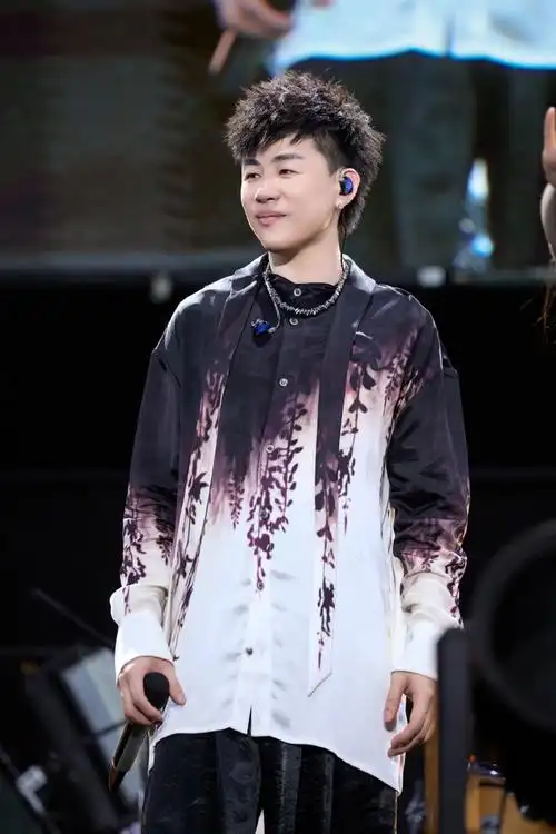 胡彦斌2024是一场烟火巡回演唱会