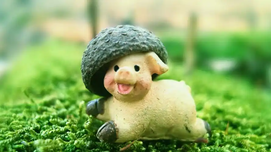 草地小猪绿色可爱桌面壁纸_可爱壁纸_墨鱼部落格