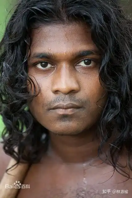 属尼格罗-澳大利亚人种的维达类型(如托达人,科塔人,奥朗人,坎德人及