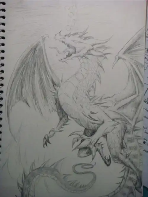 大概找了几张,铅笔素描的西方龙还真不太好找,有需要的你就抱走,没有