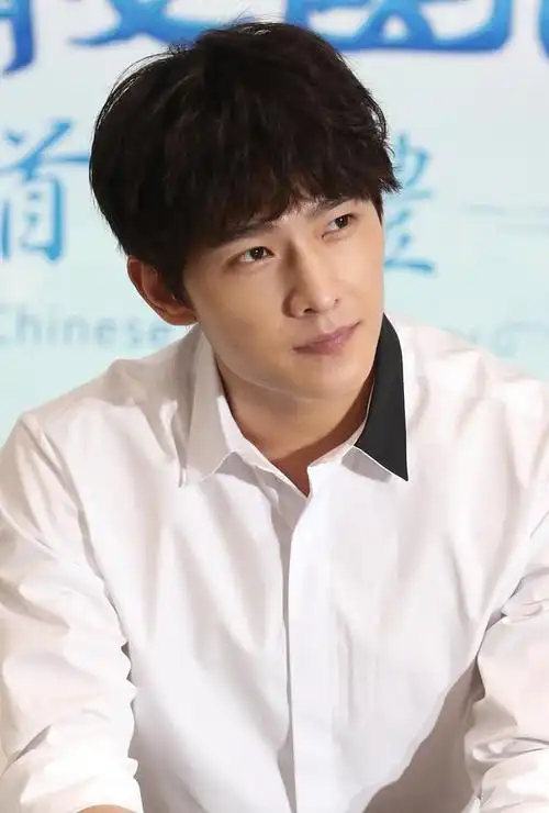 从2008年出演首部电视剧《苏菲日记》开始,他便踏上了演艺之路,以其