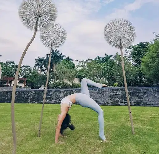 简单几个瑜伽动作,练出显瘦好身材_身体