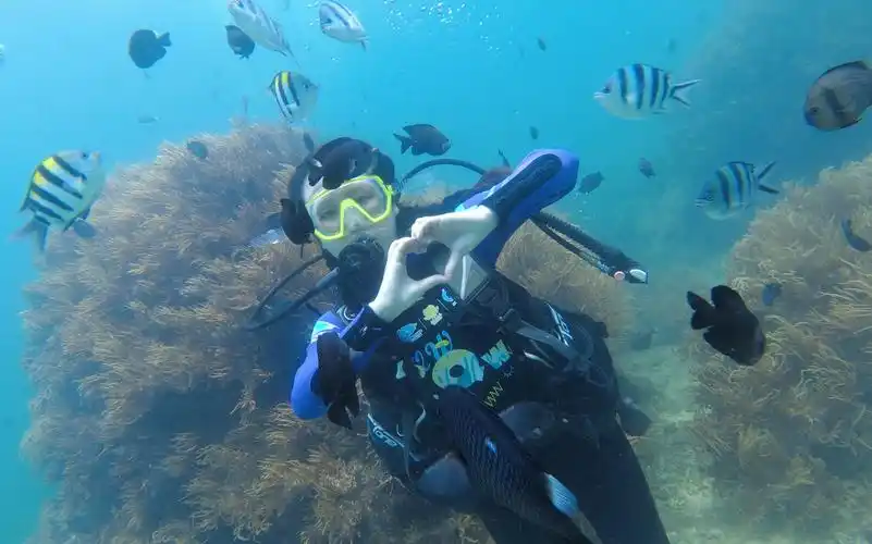 活动作品蜈支洲岛潜水记