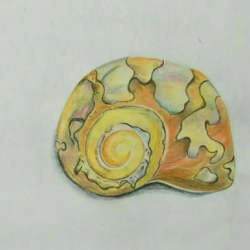 画画 #彩铅 #彩铅手绘你不用告诉别人你有多少本事,你就温 - 抖音