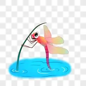 蜻蜓点水图片素材