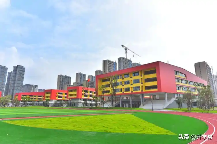 成都市七中育才学校(最新)