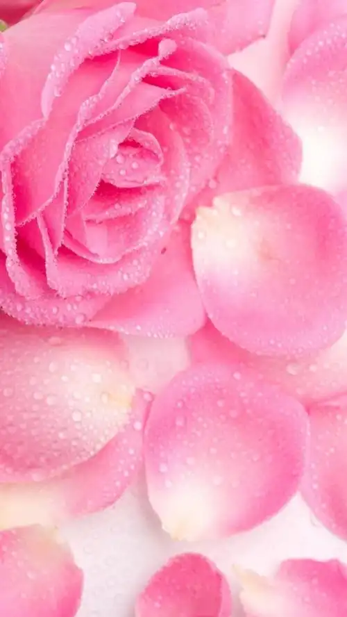 清新 摄影 田园 绿色 自然 淡雅 风景名胜 壁纸 素材 锁屏 屏保 高清