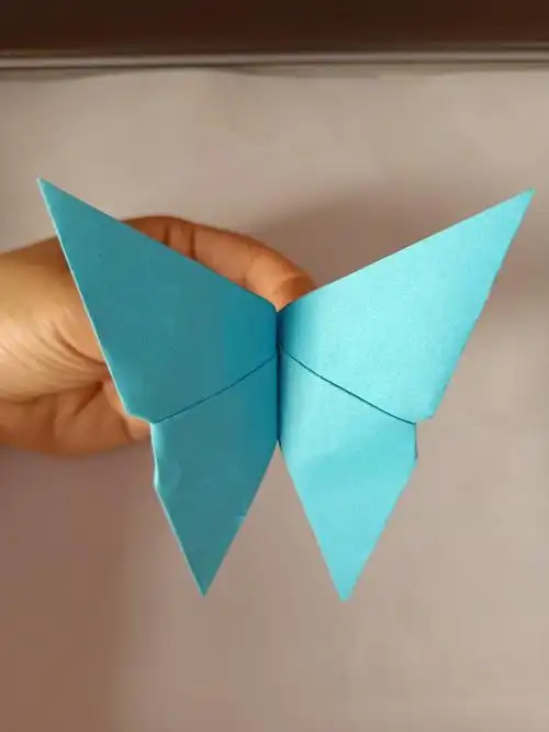 西王镇第一小学 手工制作:拥有自己的蝴蝶