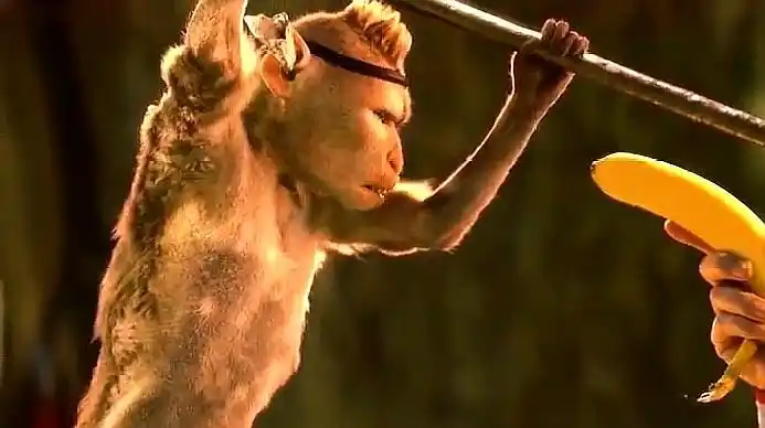 喜剧电影《疯狂的外星人》太搞笑,精彩片段回顾剧情