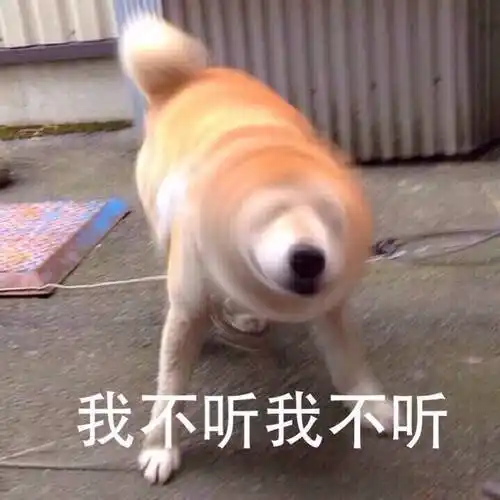 我不听我不听67我不听我不听67doge摇头拒绝表情