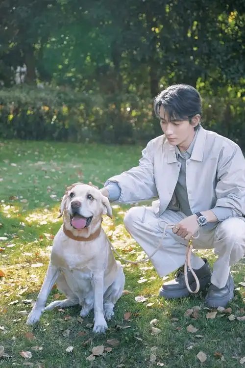 《河边的错误》:朱一龙胖瘦实力演绎,获剧评人盛赞!_角色_reno_电影