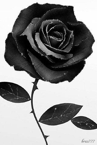 320_480竖版 竖屏gif 动态图 动图