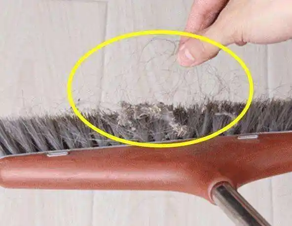 小米众筹新品已超万人抢购,白菜价赢了3090元的戴森,网友:真香