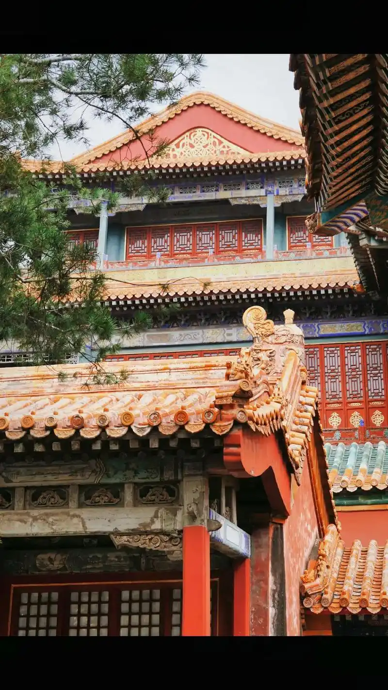 宫墙柳色绿如染  #紫禁城 #摄影 - 抖音