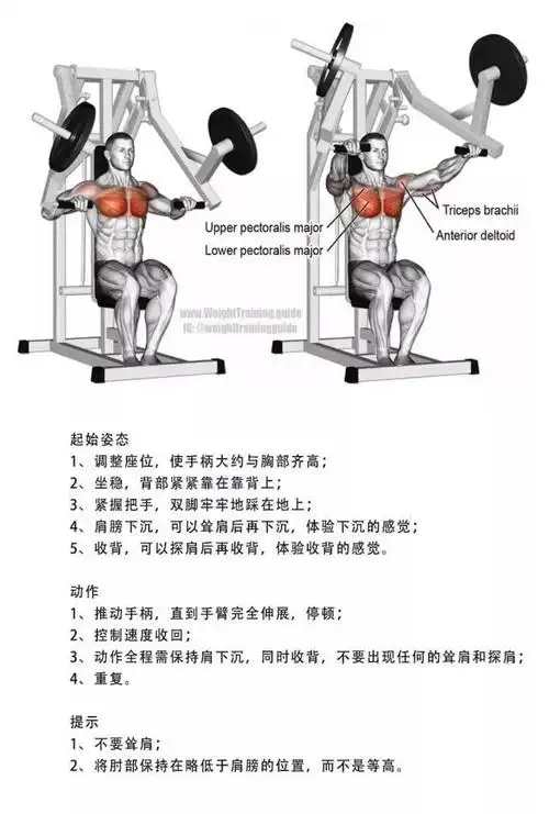 适合健身新手女生练臀的训练计划,手把手教你练出蜜桃臀