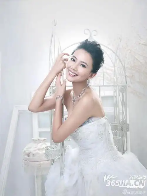 女神嫁衣 盘点高圆圆穿过的那些婚纱_高清图集_新浪网