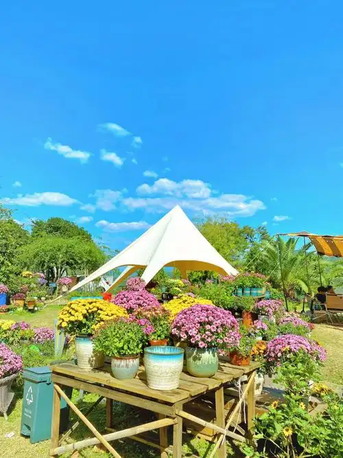 嵊州星期八山庄