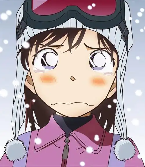 毛利兰图片 小兰图片 名侦探柯南图片