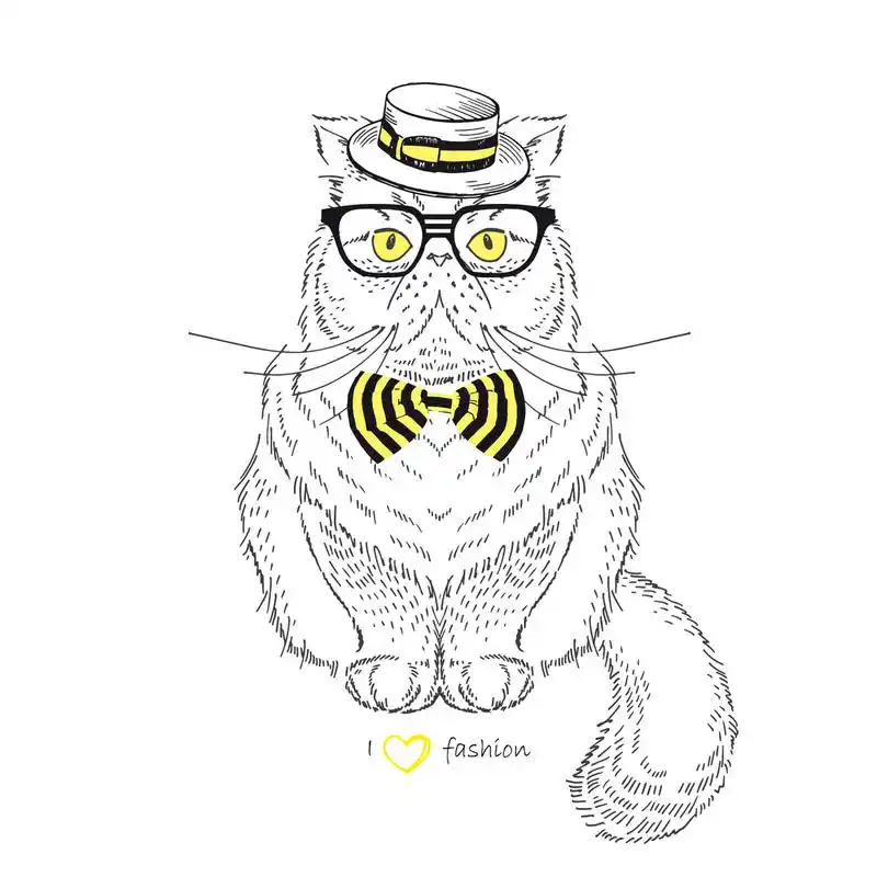 打扮的波斯猫,绘制的插图的打扮上白色孤立的波斯猫的手