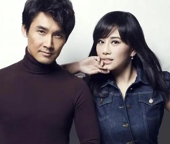 回顾7对丁克的明星夫妻各有各的故事各有各的心酸