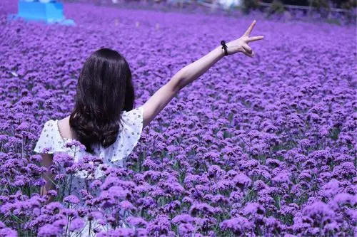 美女背影也很赞哦!