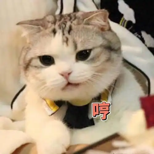 女生专用可爱搞笑聊天表情包