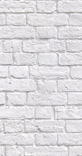 求一个图片里的白色墙砖图