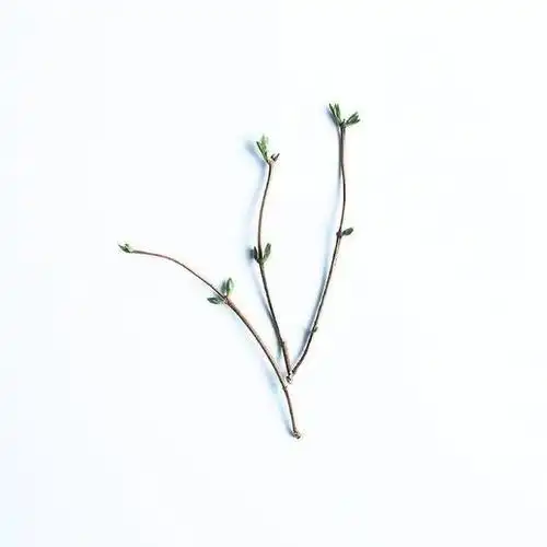 一组值得收藏的极简主义头像