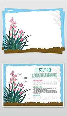 植物手抄报下载排行榜